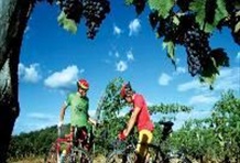 Chianti Bike Tour
